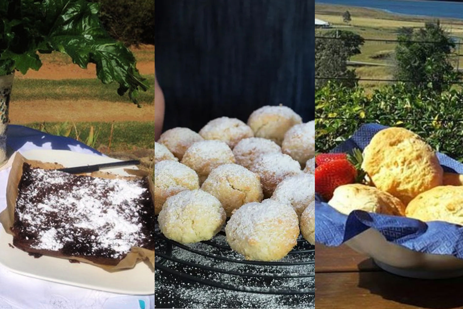 birdsnest bake off cookbook blog feature image
