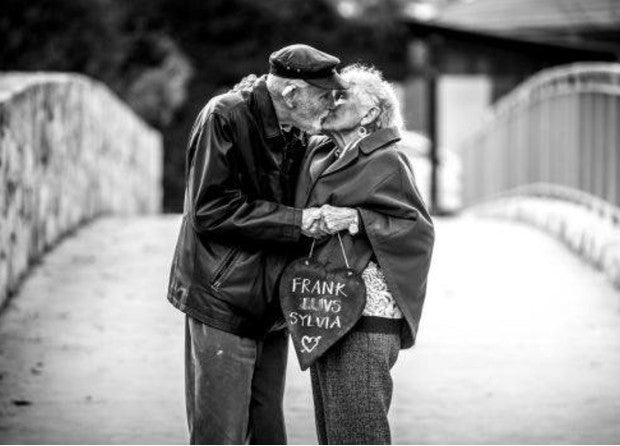 Love Birds Sylvia and Frank blog feature image