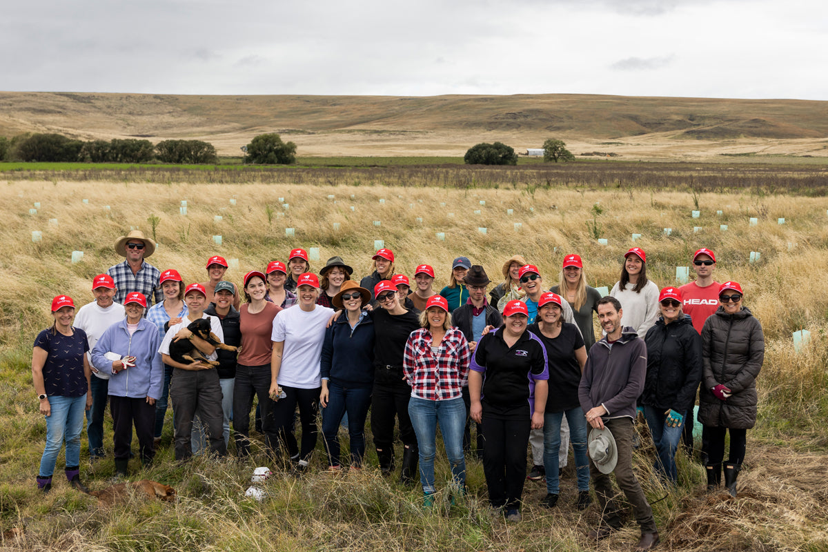 Birdsnest team group photo planting trees