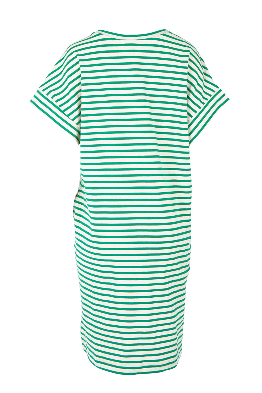 Product shot of the Elise V Neck Cotton Rib Dress in colour Green (Green), from the back