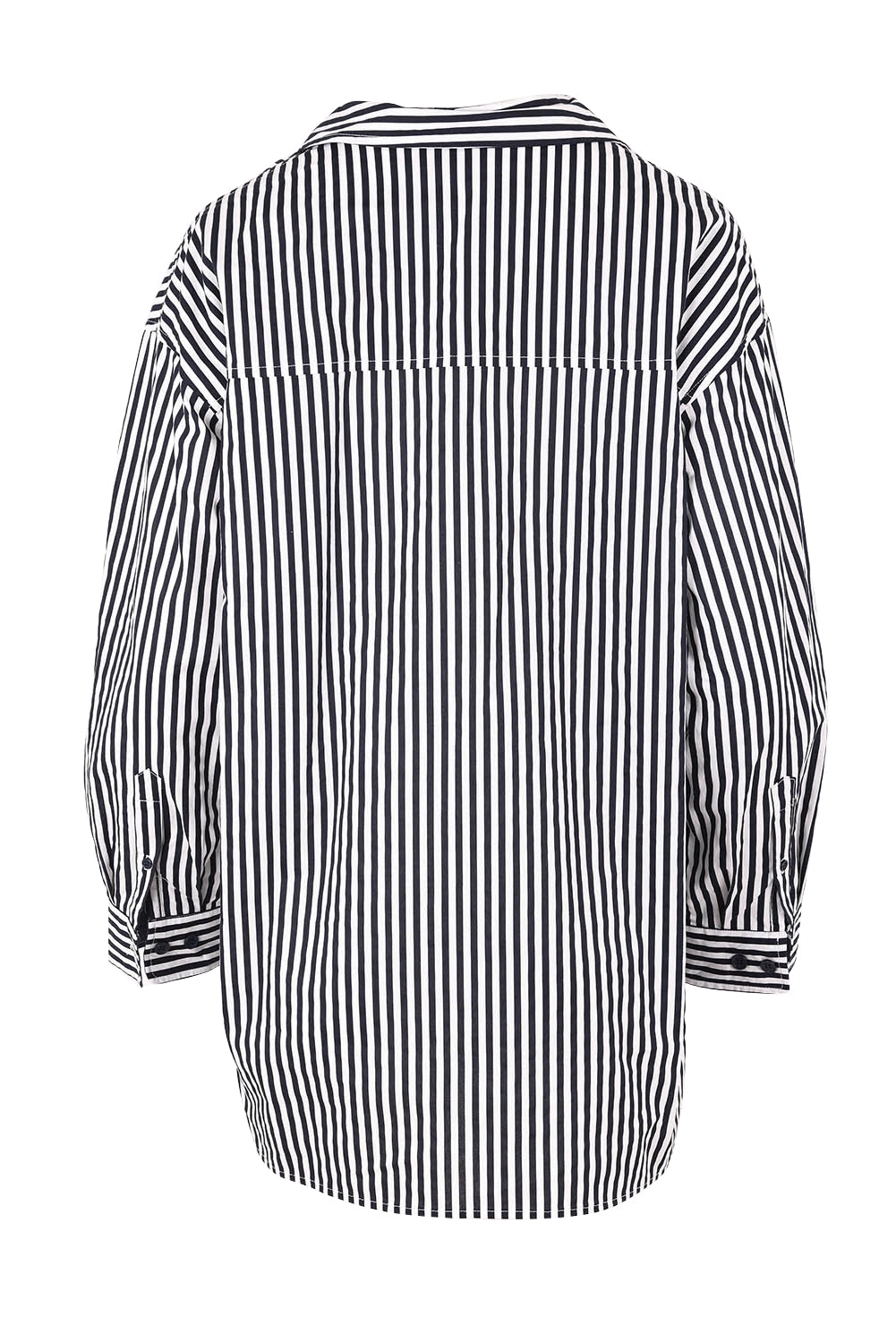 Product shot of the Claire Classic Cotton Shirt in colour Navystripe (Blue), from the back