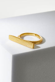 A model wearing size OneSize of the Adjustable Brass Flat Bar Ring in colour Goldbrass (Metallics), from the front, showing the whole outfit