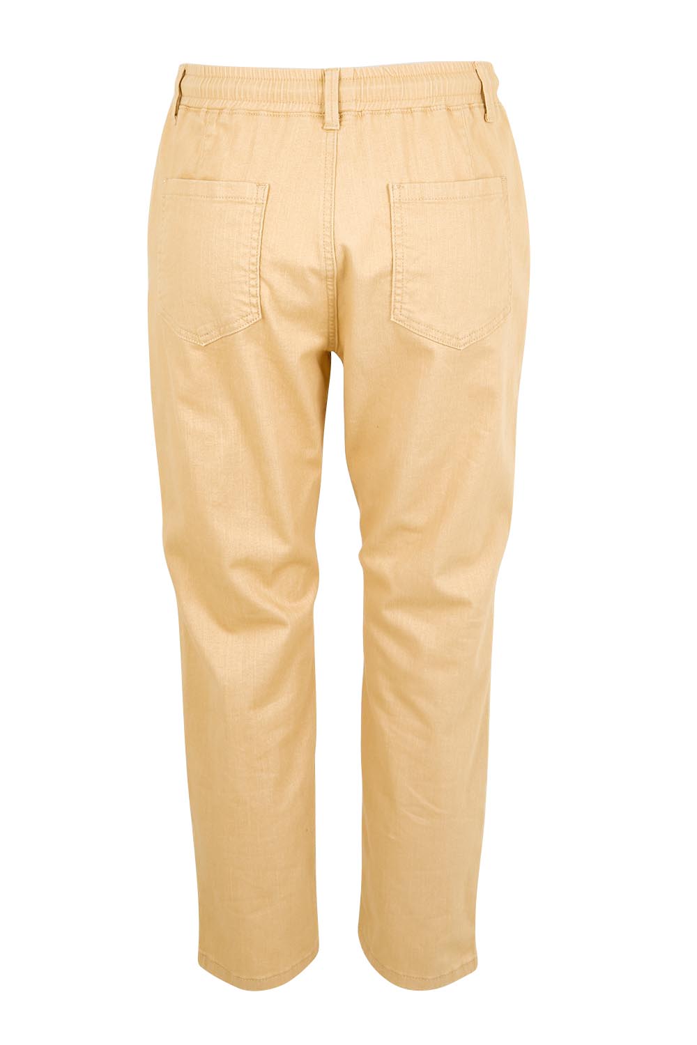 Product shot of the The Pull On Cotton Pant With Drawstring – Sand in colour Sand, from the back
