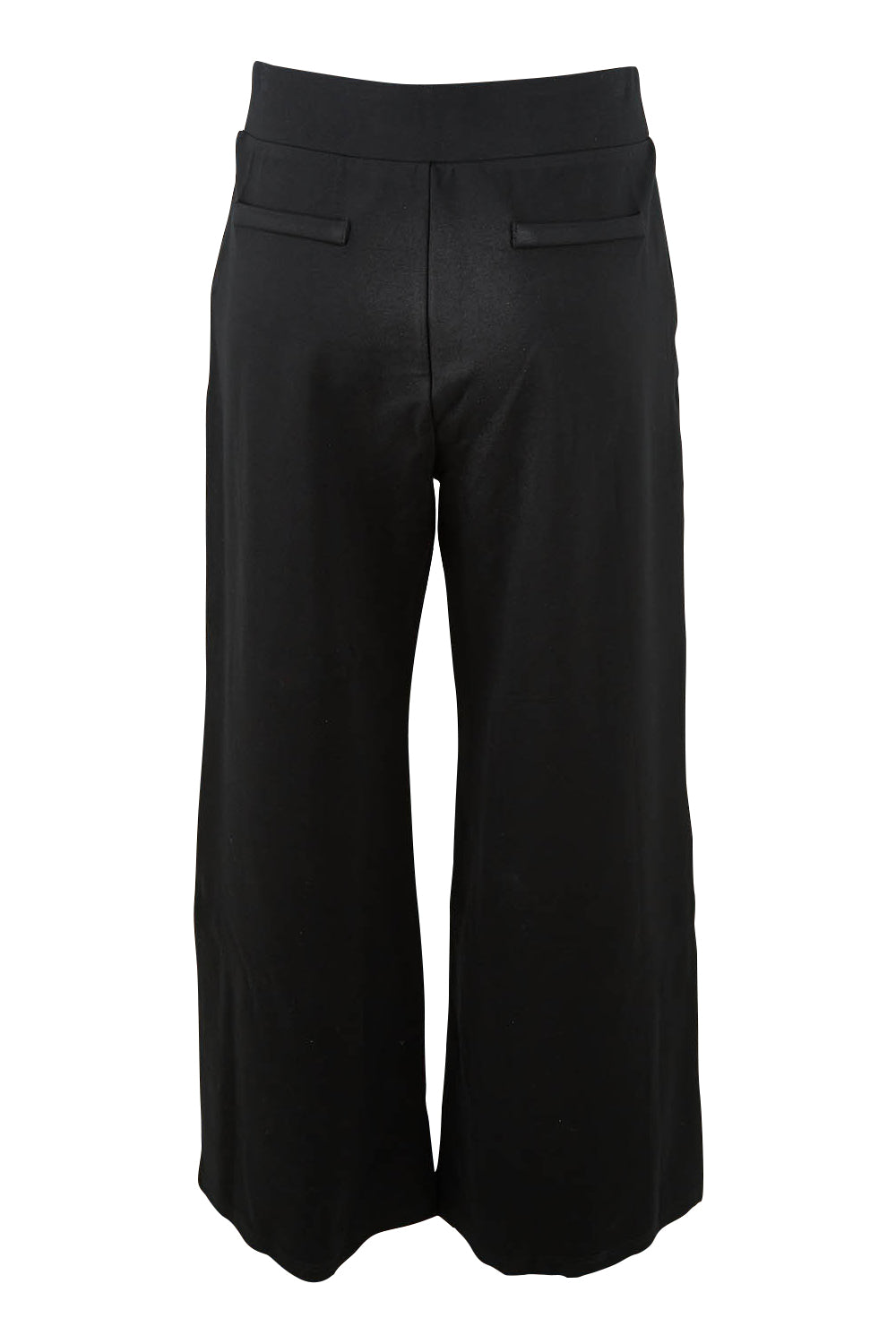 Product shot of The Wide Leg Ponte Pant in colour Jetblack (Black), from the back