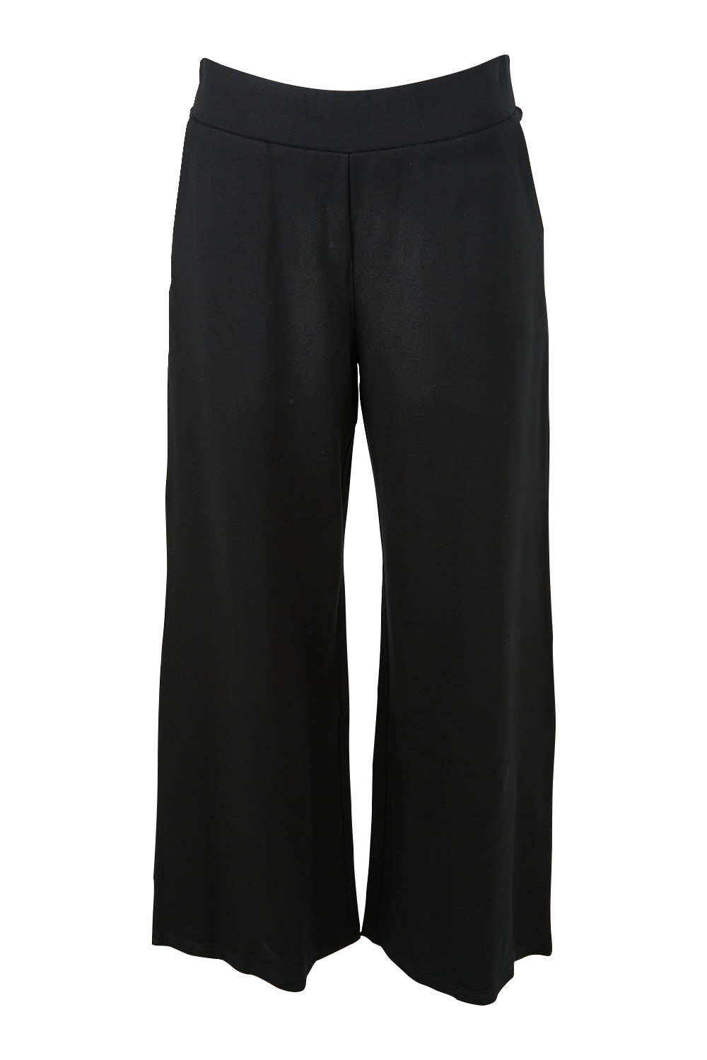 Product shot of The Wide Leg Ponte Pant in colour Jetblack (Black), from the front