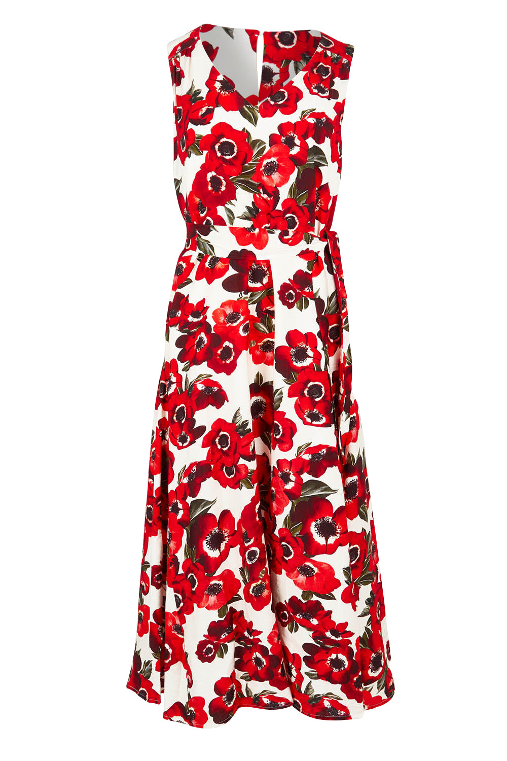 Product shot of The Printed V Neck Dress With Sash in colour Redfloral (Red), from the front