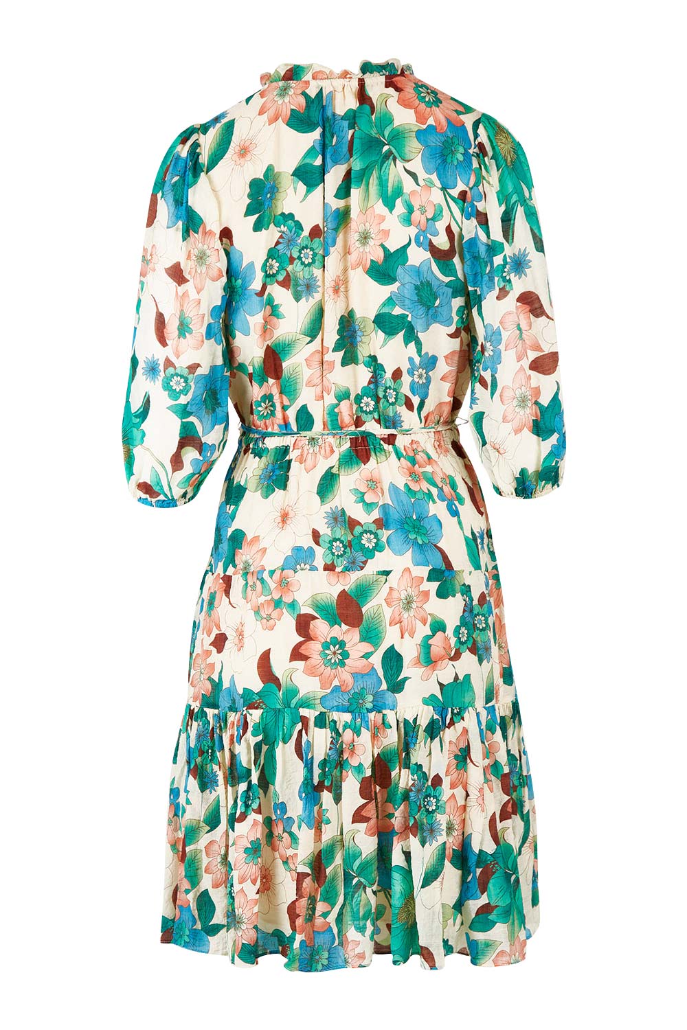 Product shot of the Sweet As Sugar Dress in colour Fleurblue (Blue), from the back