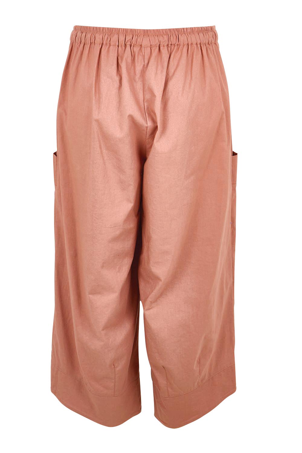 Product shot of the Perfect Tone Linen Cotton Pull On Cargo Pants – Antique in colour Antique, from the back