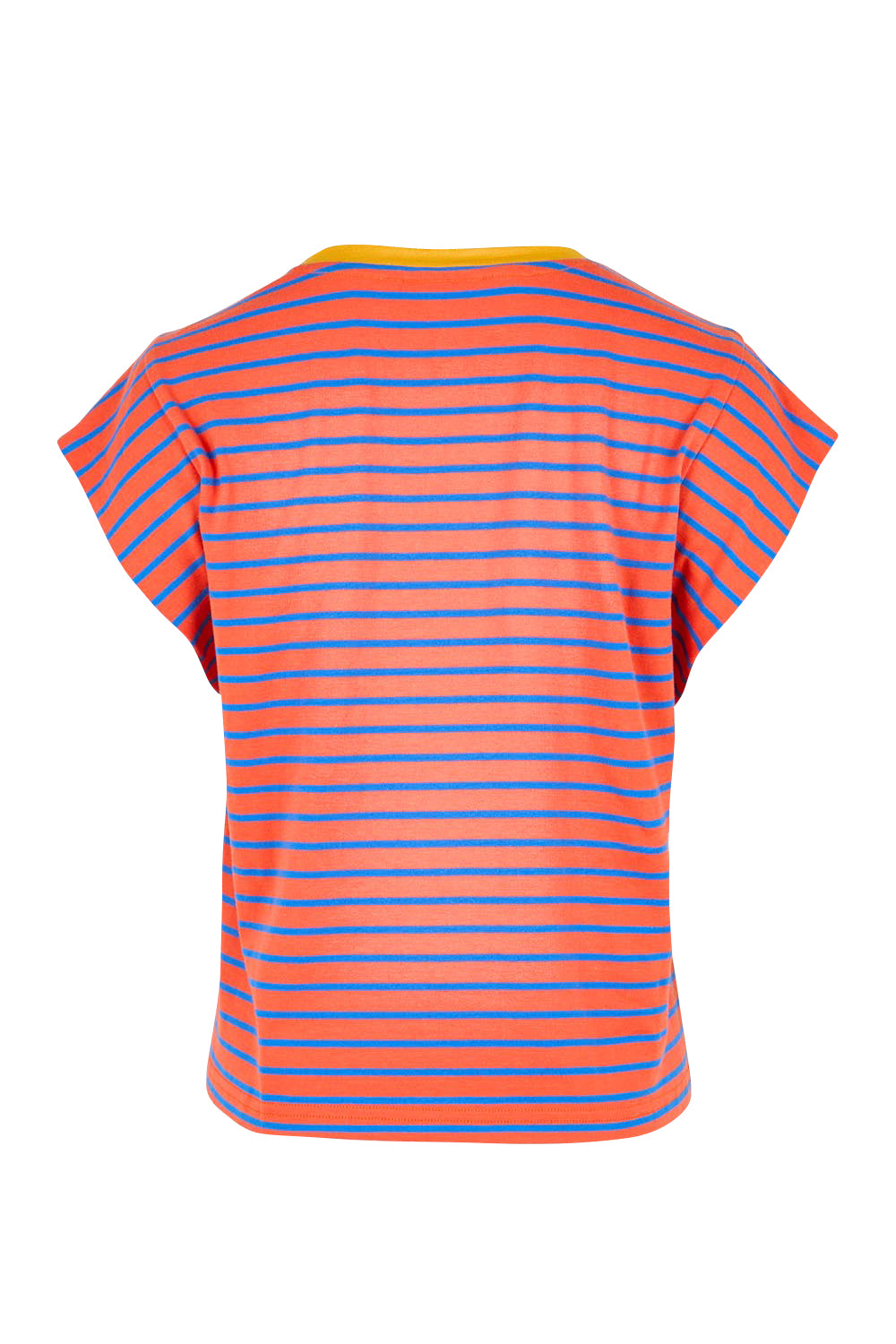 Product shot of the Bellissimo Tee – Roma in colour Roma, from the back