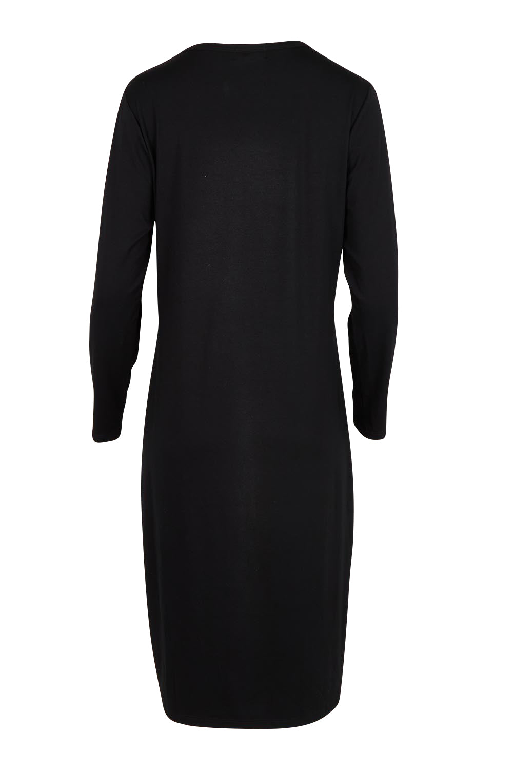 Product shot of the Bamboo Dress in colour Black (Black), from the back
