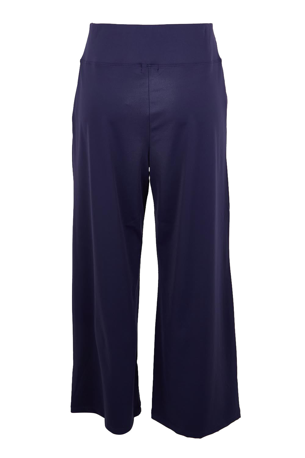 Product shot of the Walk And Work Pant – Navy in colour Navy, from the back