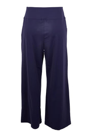 Product shot of the Walk And Work Pant – Navy in colour Navy, from the back