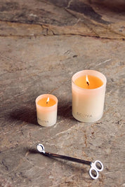 Product shot of the Mini Madison Candle - Frenchpear in colour Frenchpear, showing detail