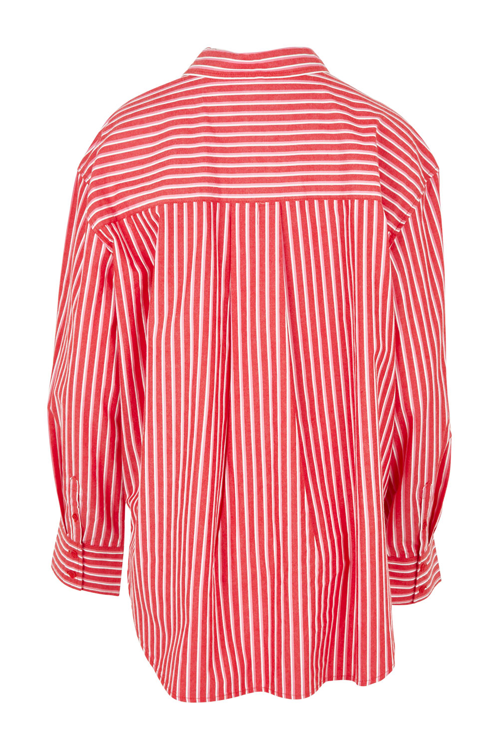 Product shot of the Frankie Striped Cotton Shirt in colour Cayenestri (Red), from the back