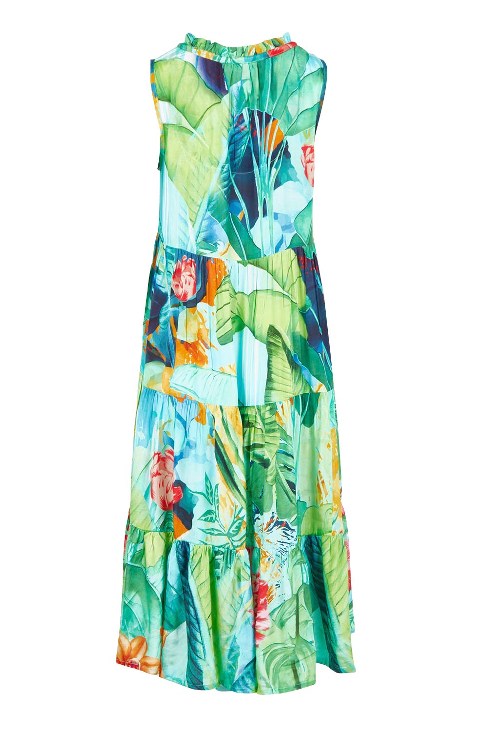 Product shot of the Evelyn Sleeveless Tie Dress in colour Print, from the back