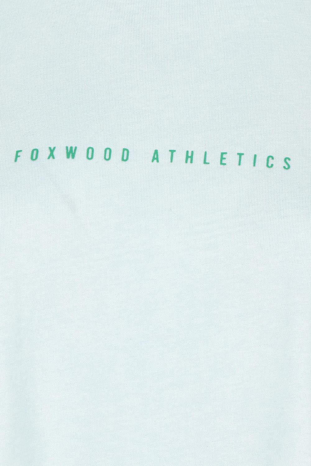 Product shot of the Leisure Captain Cotton Tee in colour Lightblue (Blue), detail