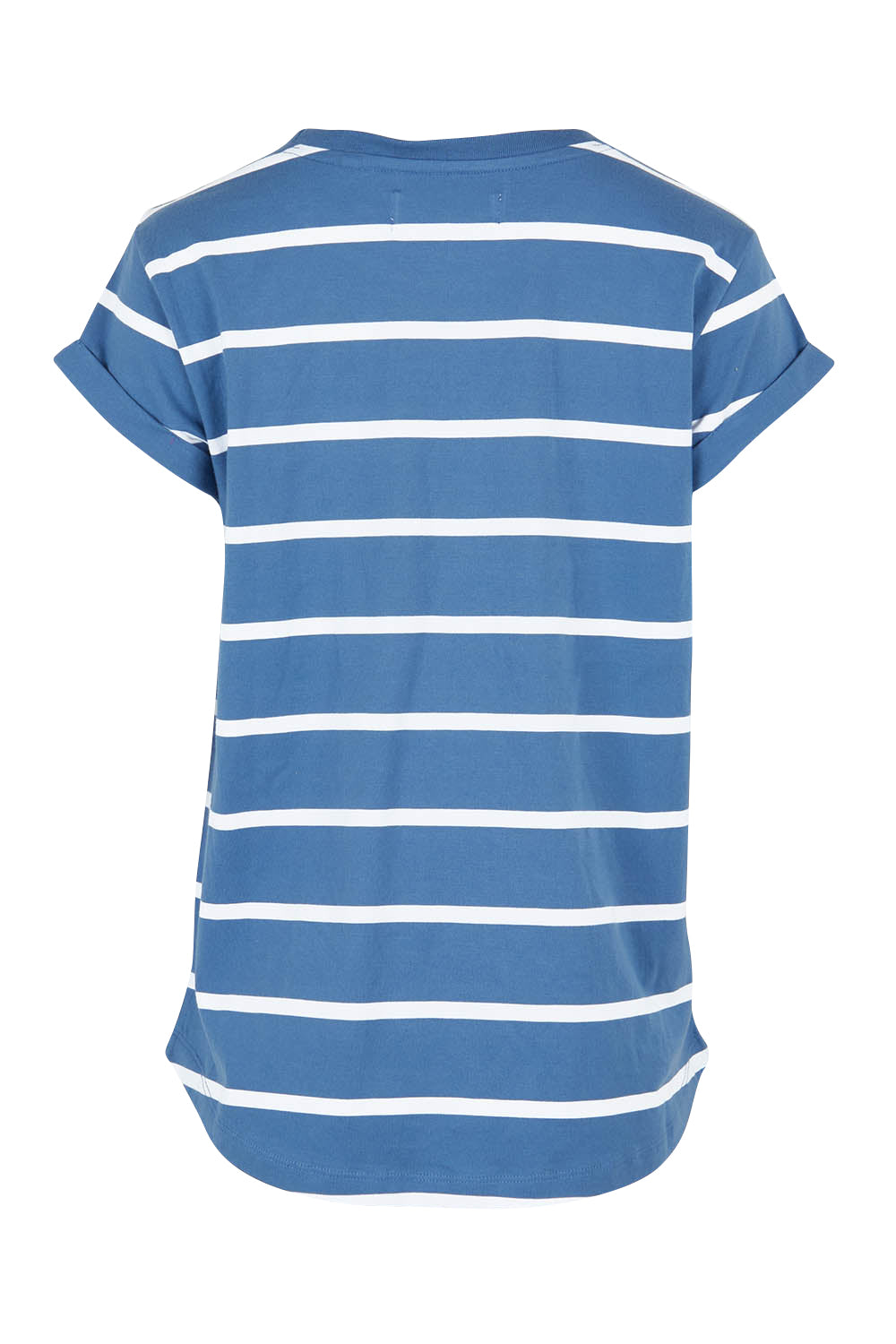 Product shot of the Elements Manly Stripe Cotton Tee in colour Bluewhite (Blue), from the back