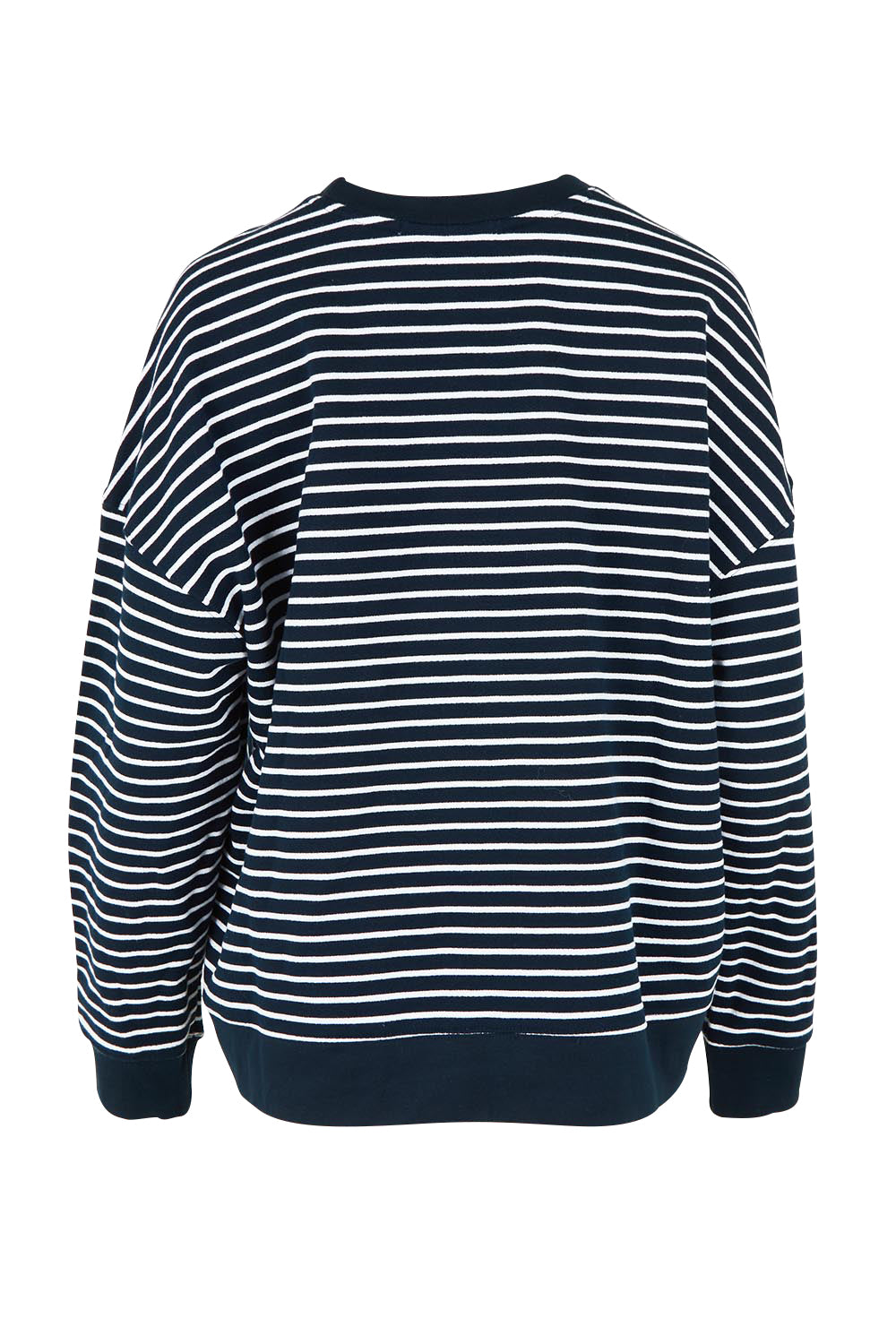 Product shot of the Elements Original Stripe Crew in colour Navywhite (Blue), from the back