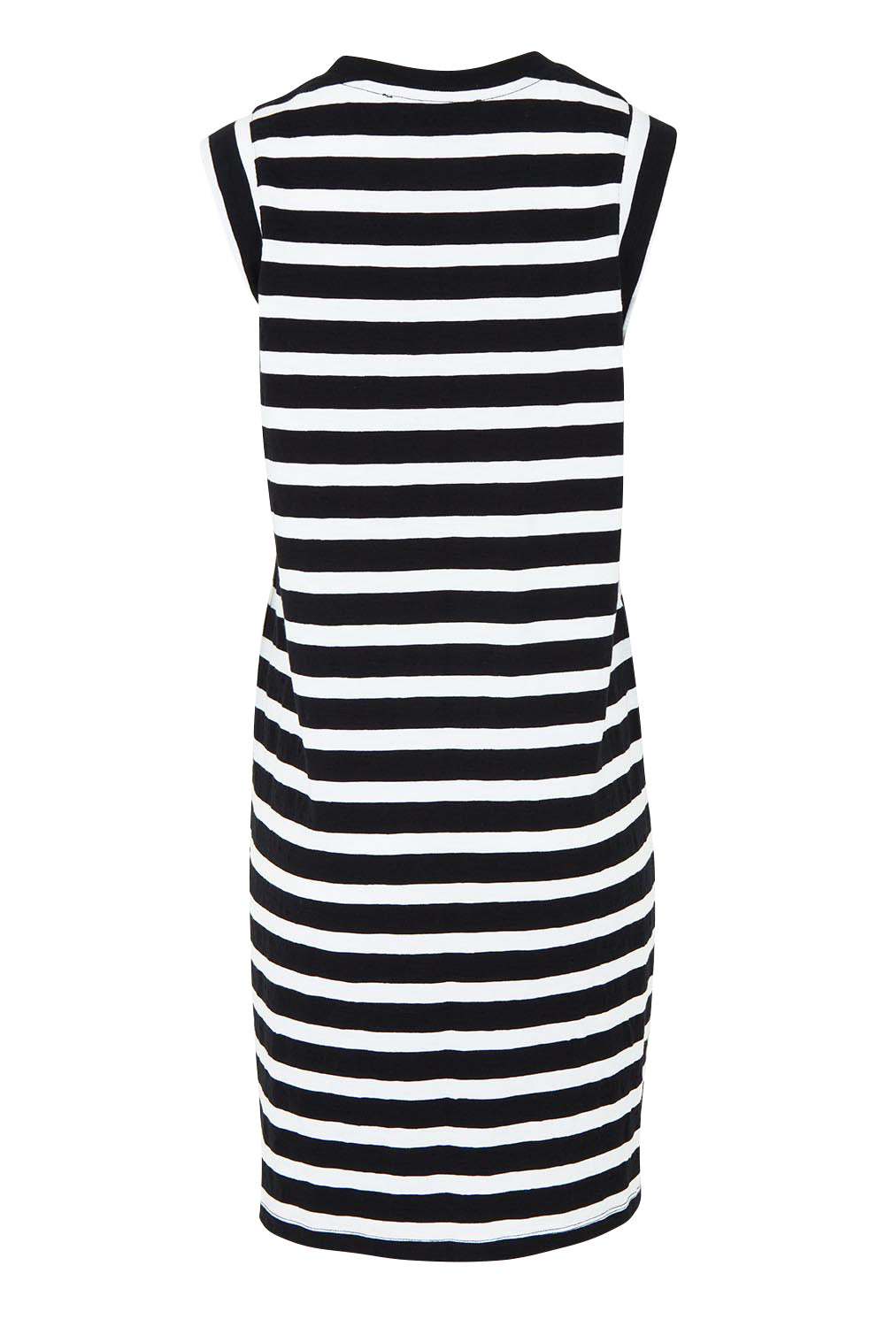 Product shot of the Elements Reform Stripe Cotton Dress in colour Blackwhite (Black), from the back