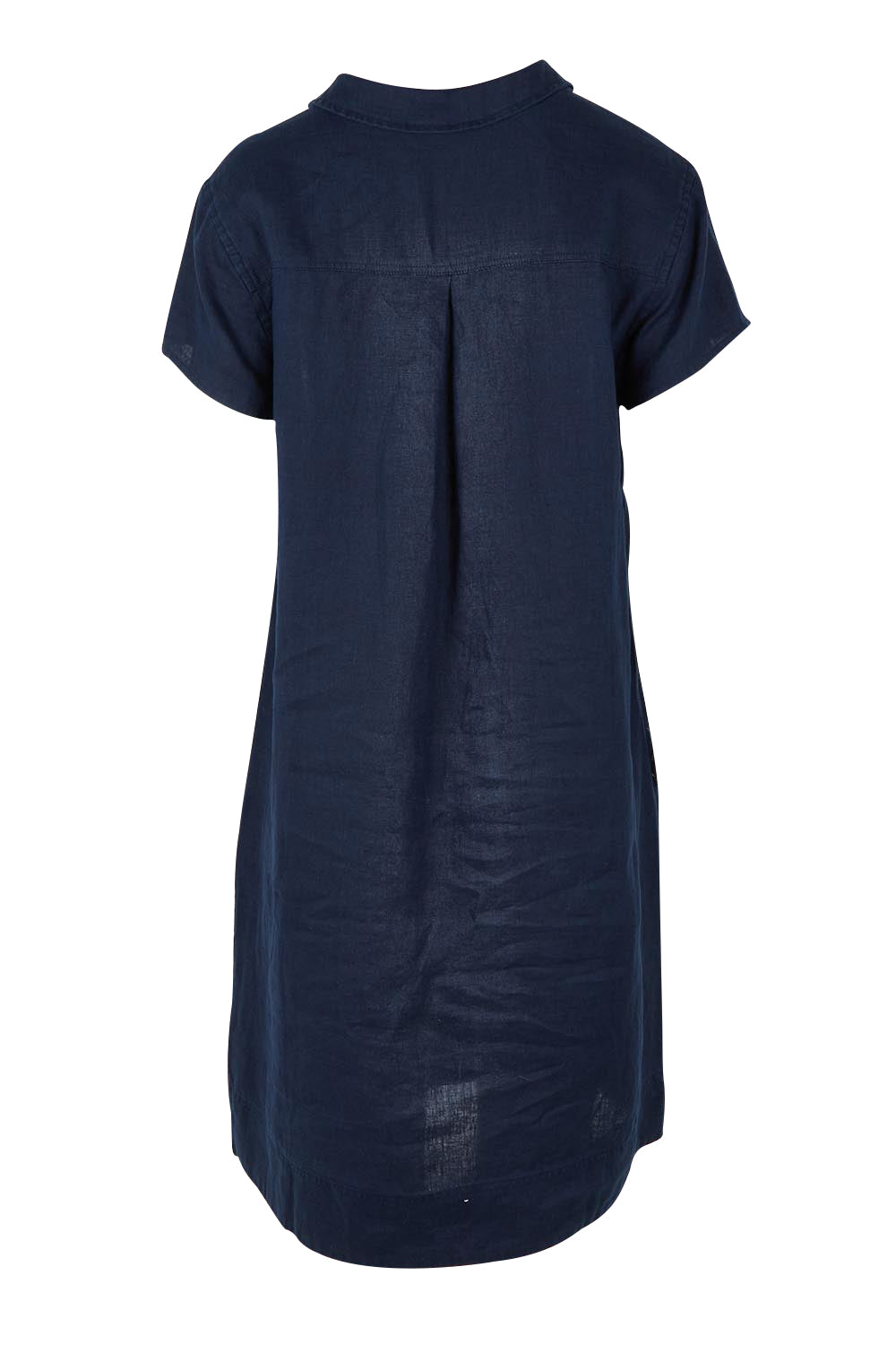 Product shot of the Delta Lino Linen Blend Dress in colour Navy (Blue), from the back