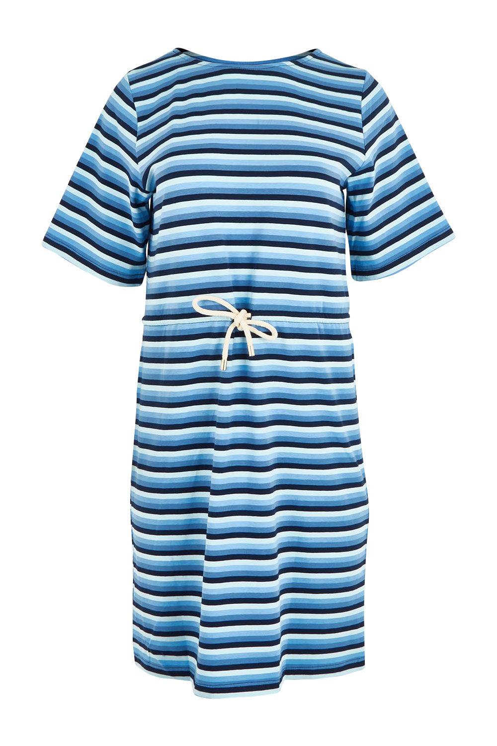 Product shot of the Limon Stripe Cotton Tshirt Dress in colour Indigo (Blue), from the back