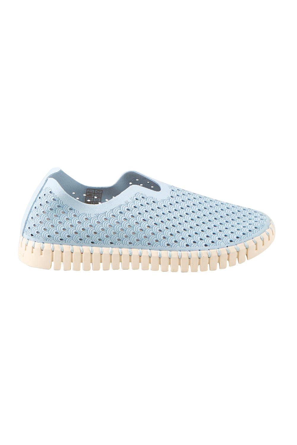 Product shot of the Tulip Sneaker – Ashblue in colour Ashblue, from the front