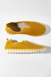 A model wearing size 36 of the Tulip Sneaker in colour Goldenrod, from the front, showing the whole outfit