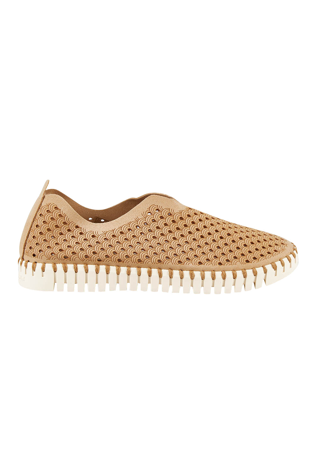 Product shot of the Tulip Sneaker in colour Latte, from the front