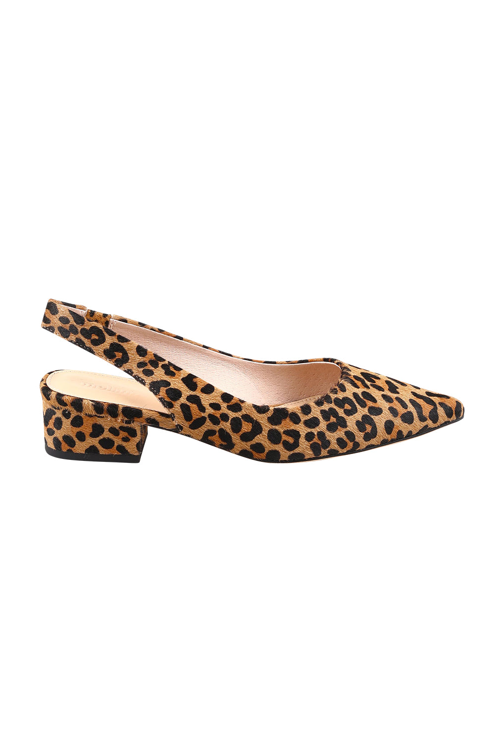 Product shot of Themust Leather Heel in colour Leopardpon, from the front