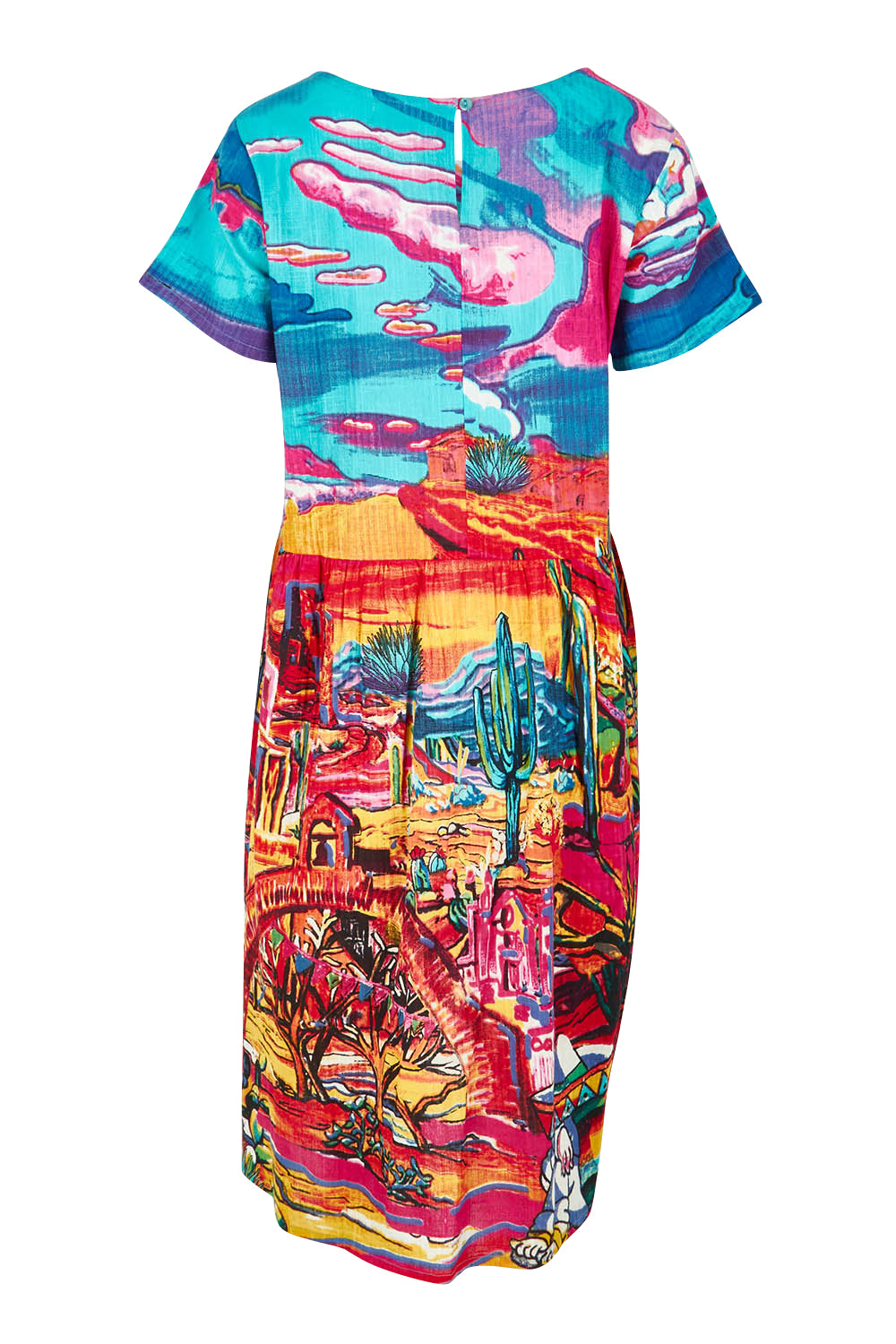 Product shot of the Ocampo Organic Cotton Boxy Ruched Waist Dress in colour Print (Blue), from the back
