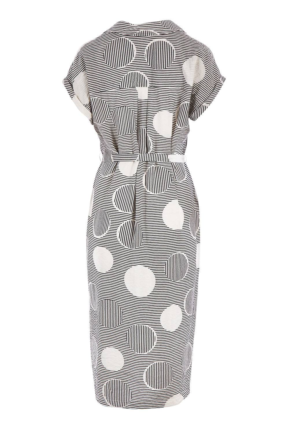 Product shot of The Cotton Blend Button Front Dress in colour Spotstripe (Black), from the back
