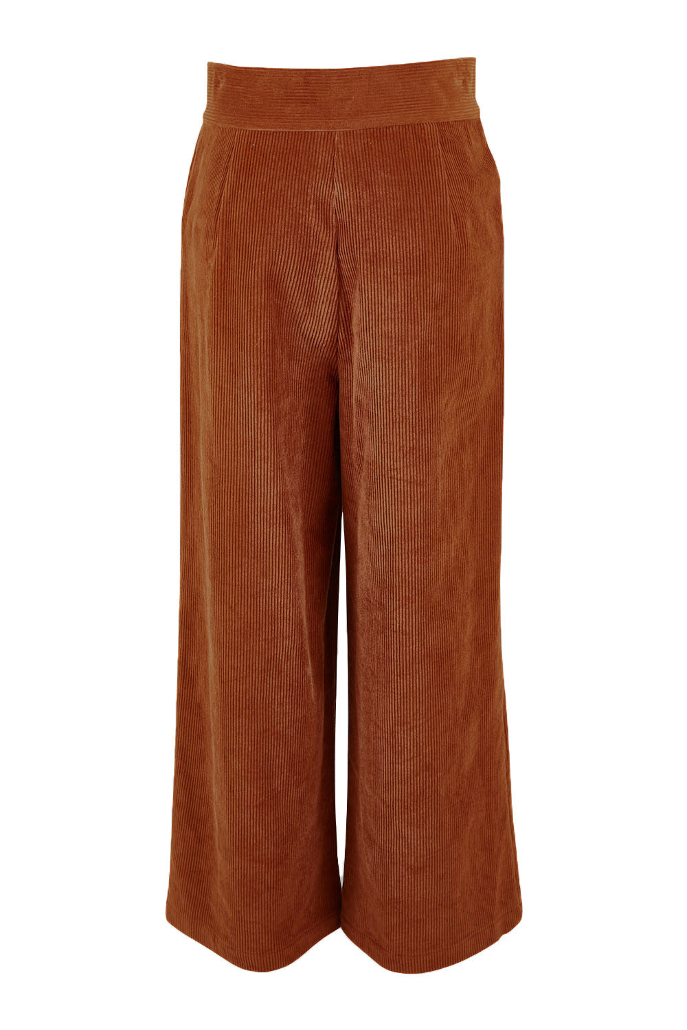 Product shot of the Feeling Good Wide Leg Cord Pants in colour Rust, from the back