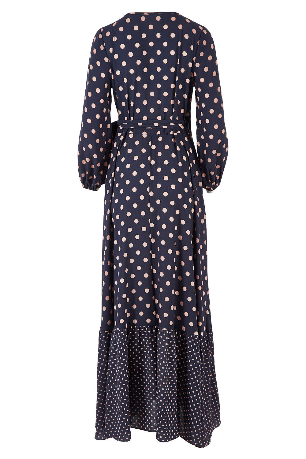 Product shot of the Spotty About You Maxi Dress in colour NavySpot (Blue), from the back