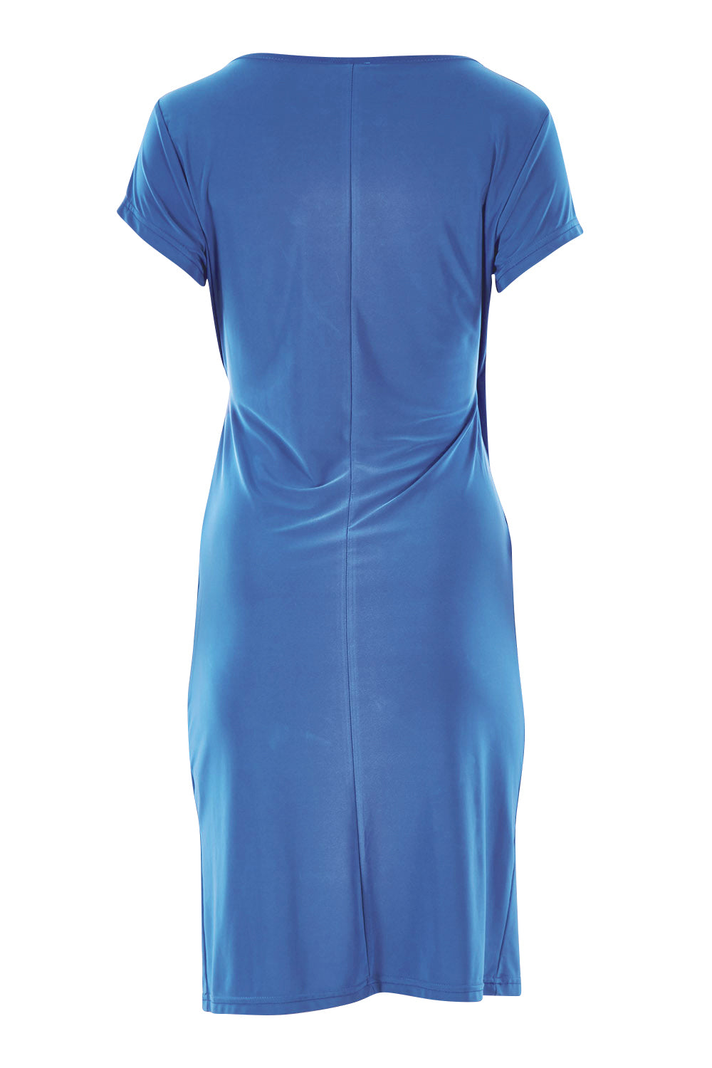 Product shot of the Side Detail Dress in colour Blue (Blue), from the back