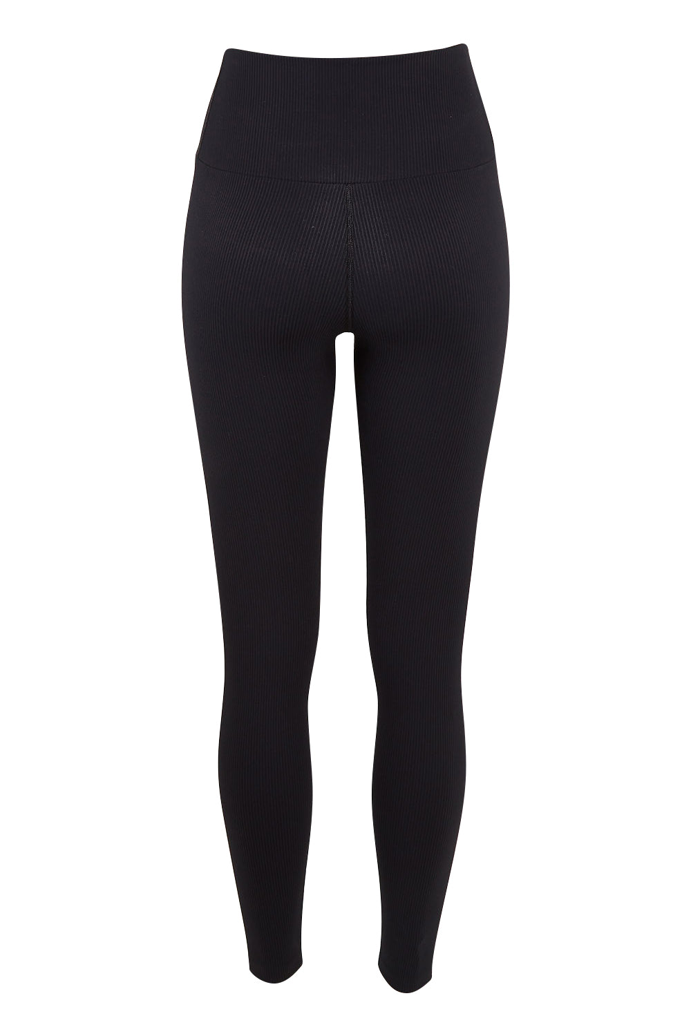Product shot of the Ab Werk It Full Length Rib Tight in colour Black (Black), from the back