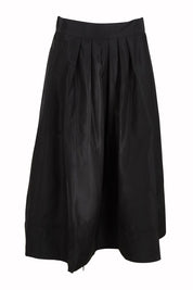 Product shot of the Pleated Ain colourLine Skirt - Black (Black), from the front