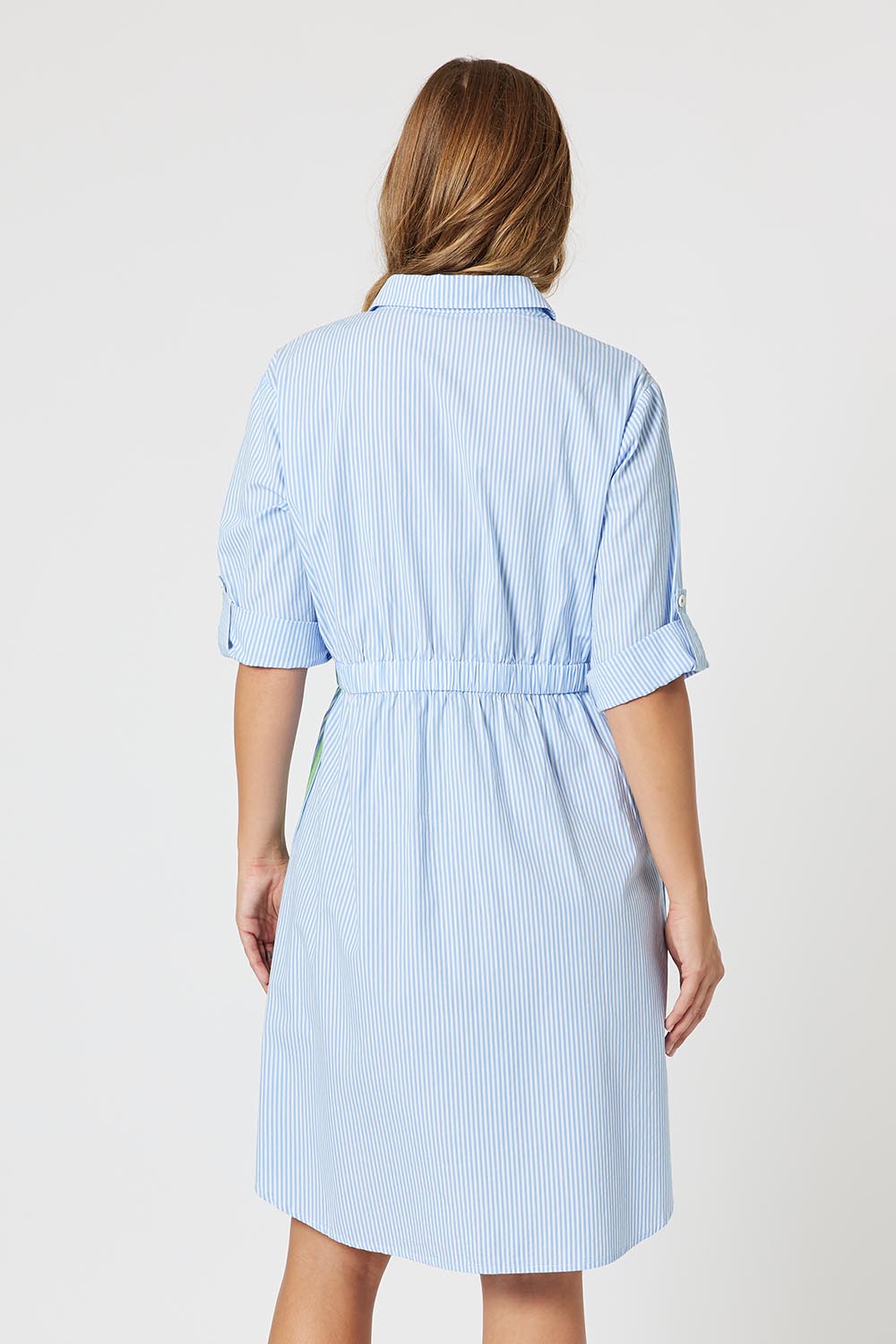 A model wearing the Skyler Stripe Cotton Dress in colour Blue (Blue), from the back