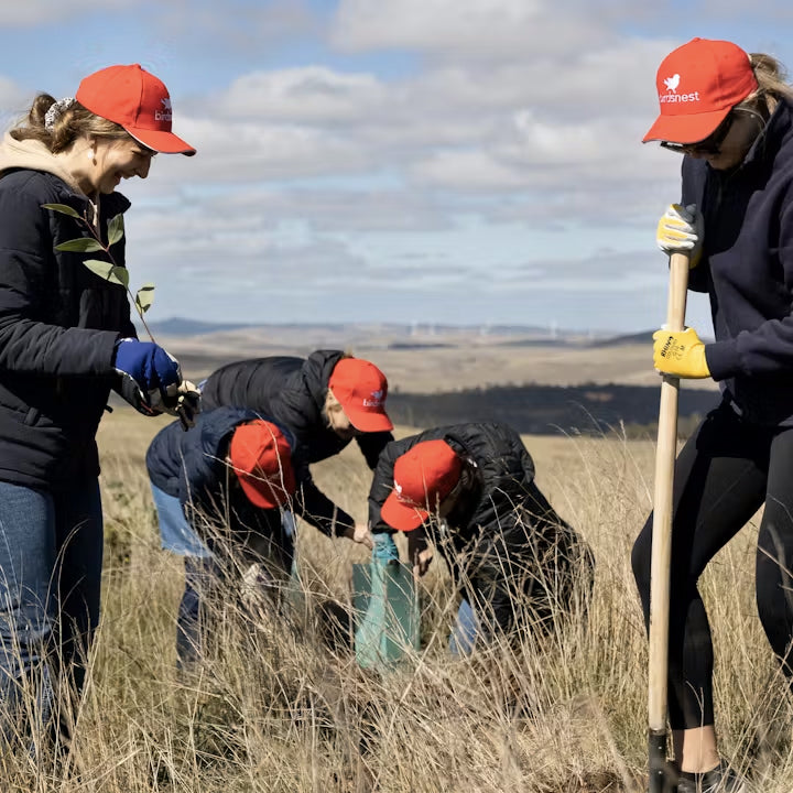 birdsnest-tree-planting.jpg